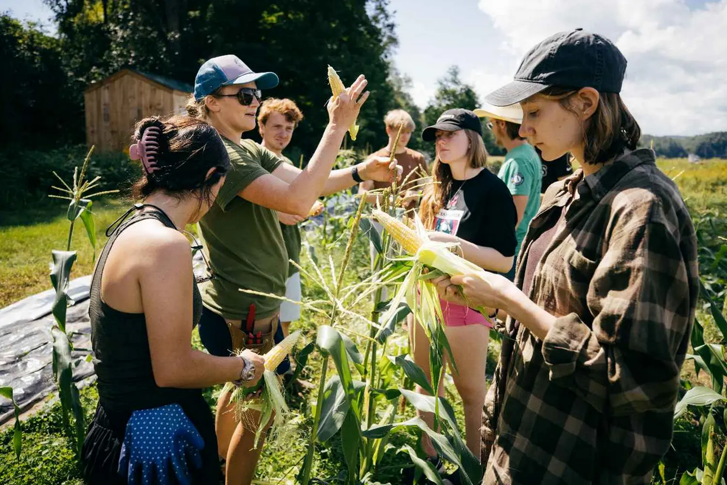 slider - American Butler