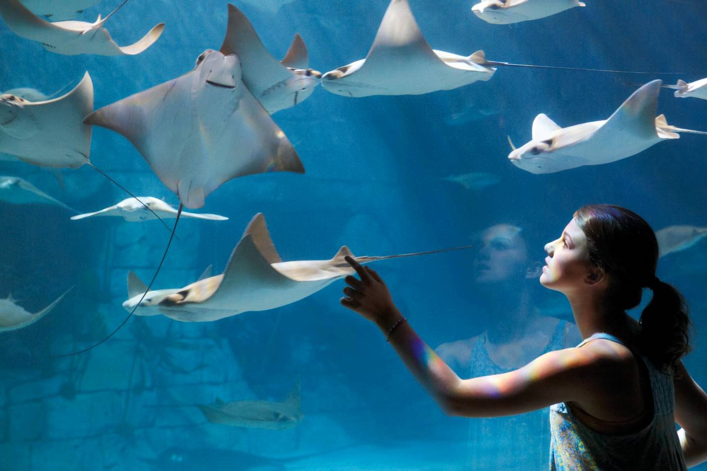 Photos of girls in the aquarium Seaworld Orlando