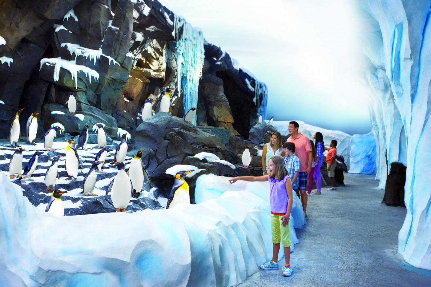 SeaWorld theme park in Orlando