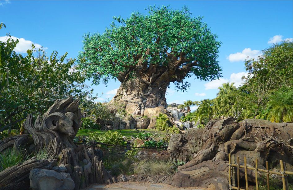 Photo of the Tree of Life at Discovery Island at Disney's Animal Kingdom theme park in Orlando