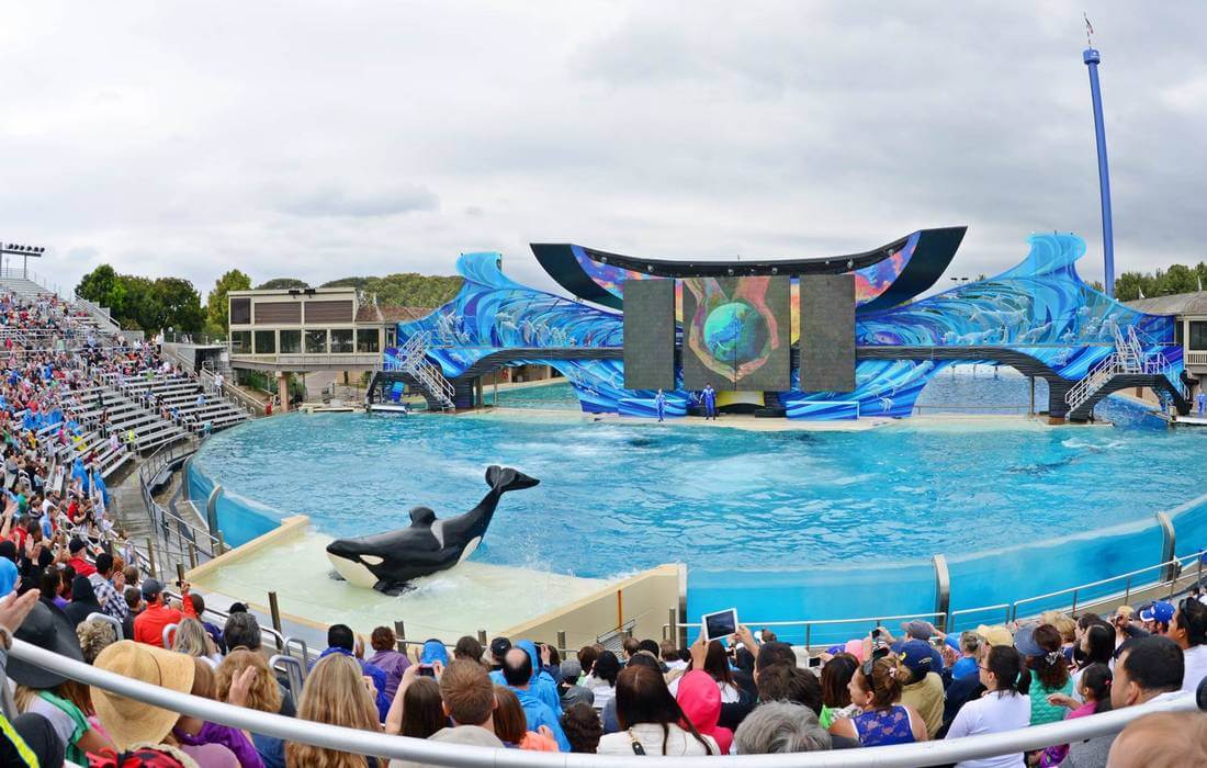 Photos of the audience at the show in Sea World — American Butler