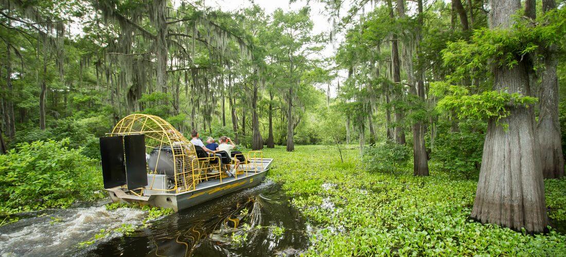 Atchafalaya Basin — the largest swamp in the USA — American Butler