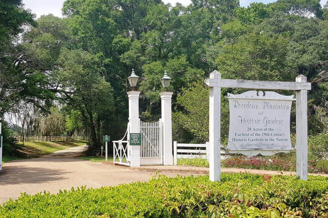 The main gate and entrance to the Rosedown Plantation - American Butler