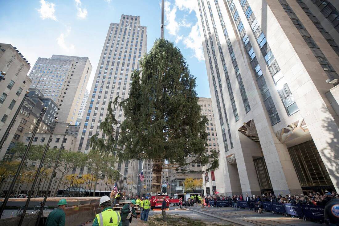 Рождественская елка в Рокфеллер-центре в Нью-Йорке - фото American Butler