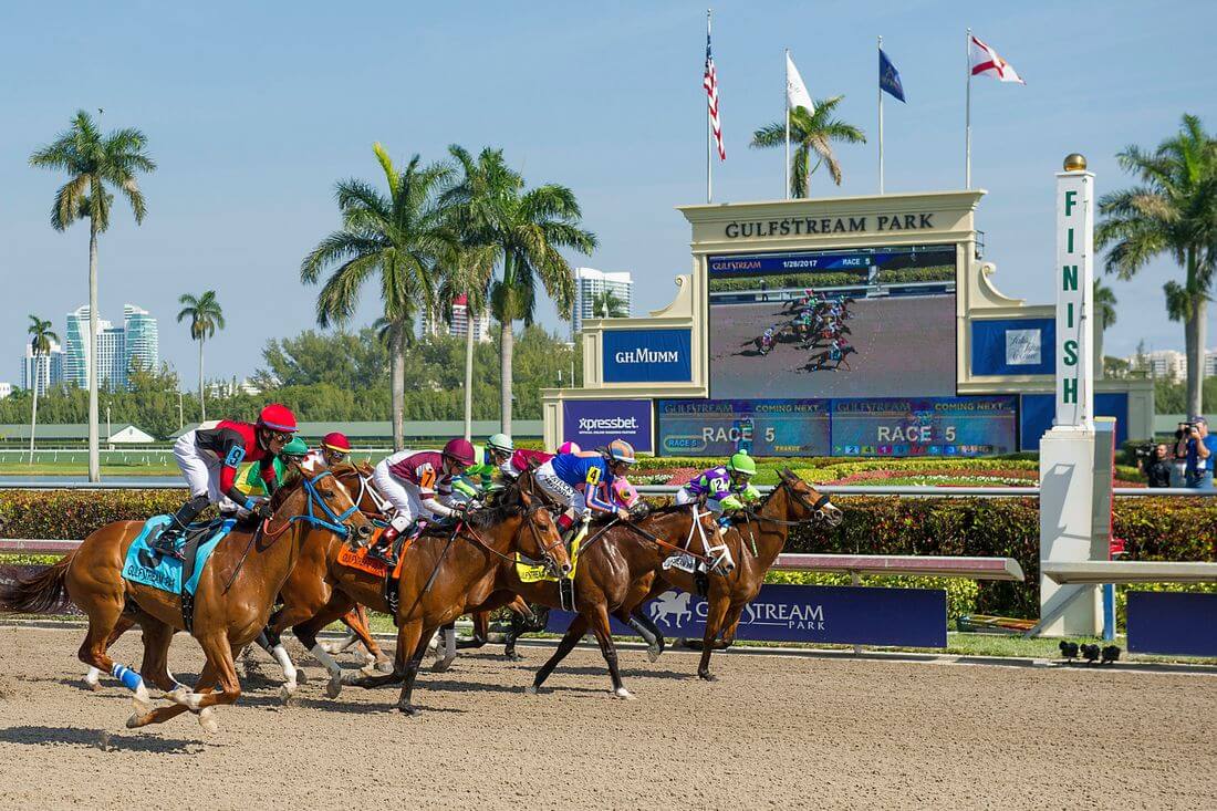 Gulfstream Park Racing and Casino — photo of the race at the racetrack — American Butler