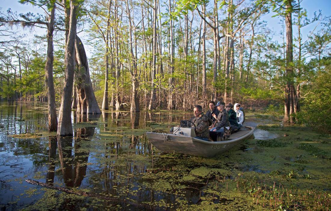 Photo tour of the attractions of Louisiana from American Butler