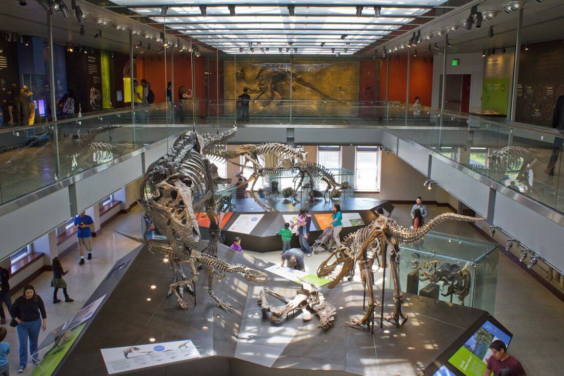 Photo of dinosaur exhibits at the Natural History Museum in Los Angeles - American Butler