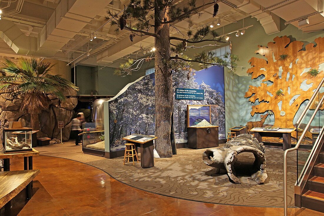 Natural History Museum — фото экспонатов в музее Сан-Диего — American Butler