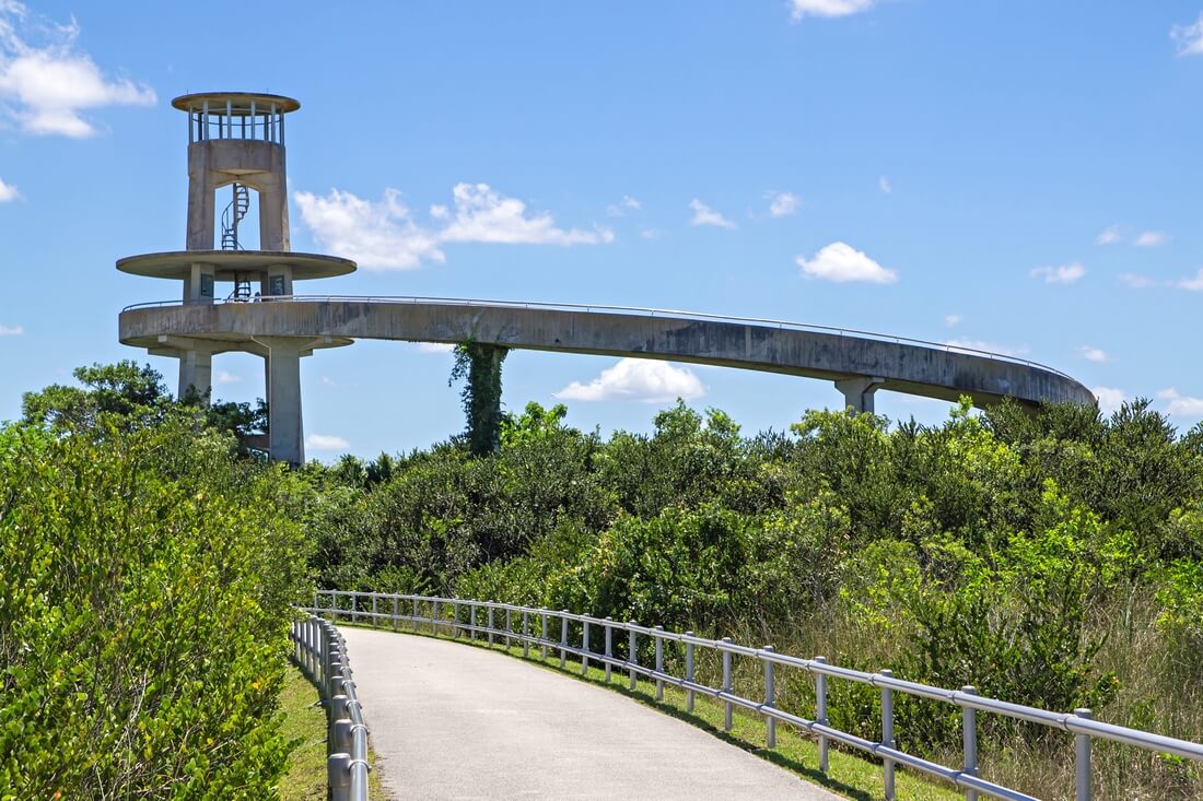 Shark Valley — photo of the observation deck in the Everglades Park — American Butler