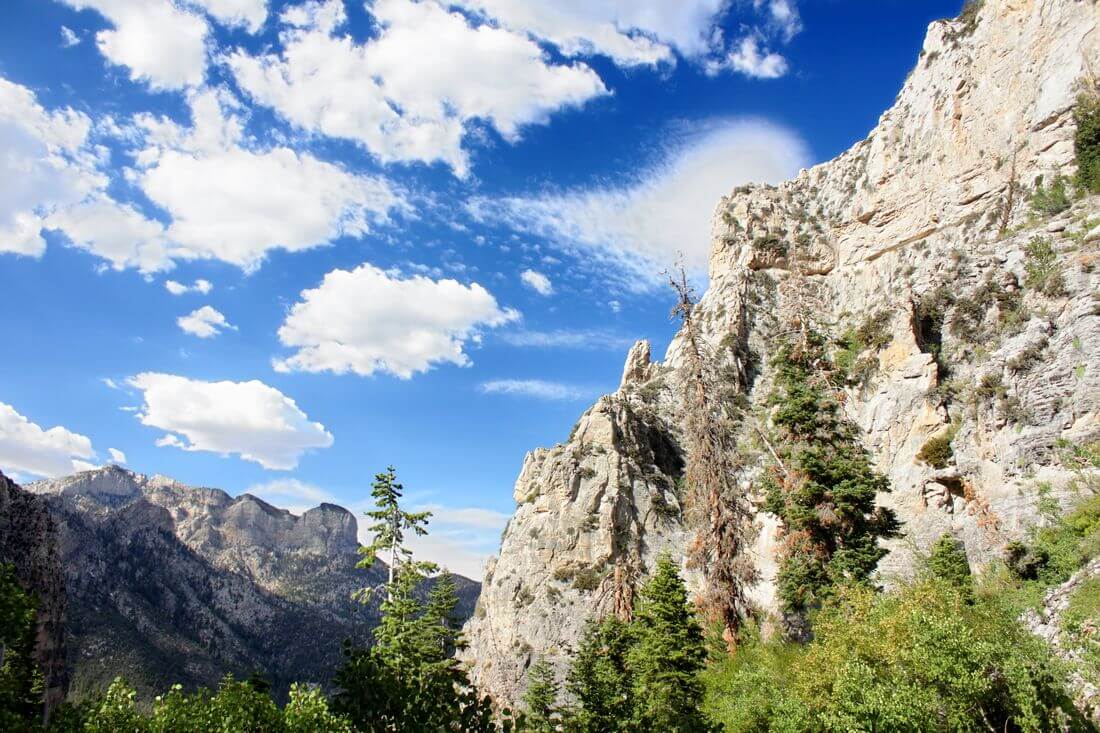 Mount Charleston — Nevada Nature Reserves and Parks — American Butler