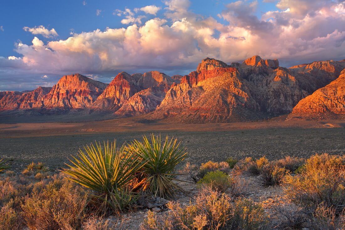 Red Rock Canyon — парк и заповедник в Лас-Вегасе — American Butler