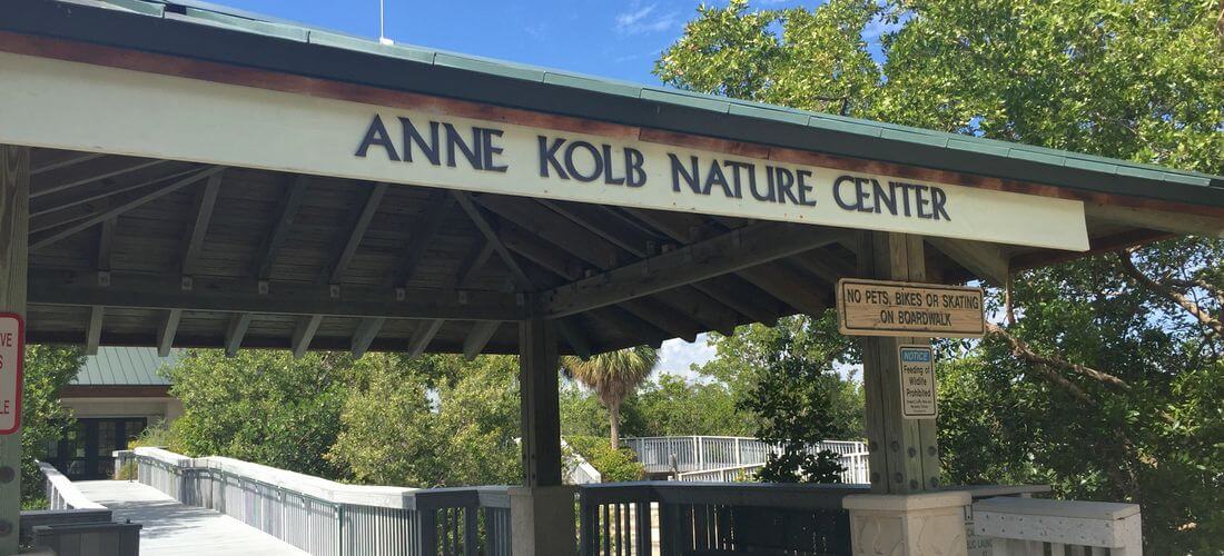 Photo of Anna Kolb Nature Center — American Butler