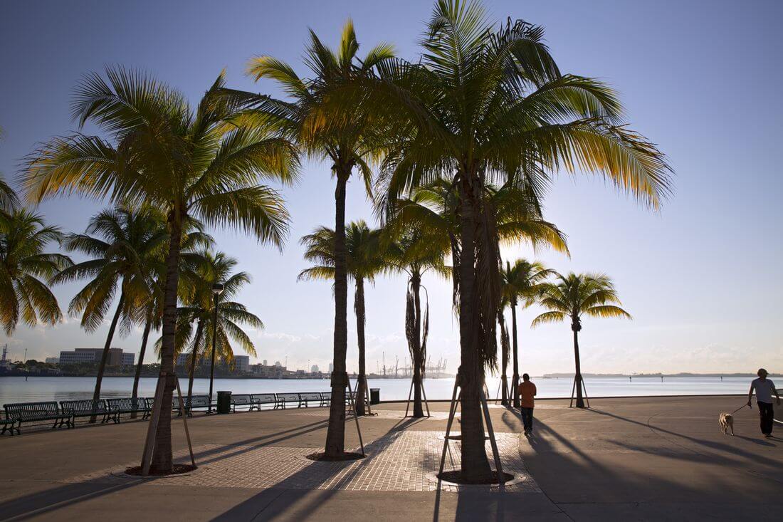 Miami Bayfront Park photos — American Butler