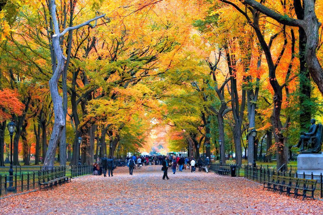 Фото Central park, New York City — American Butler