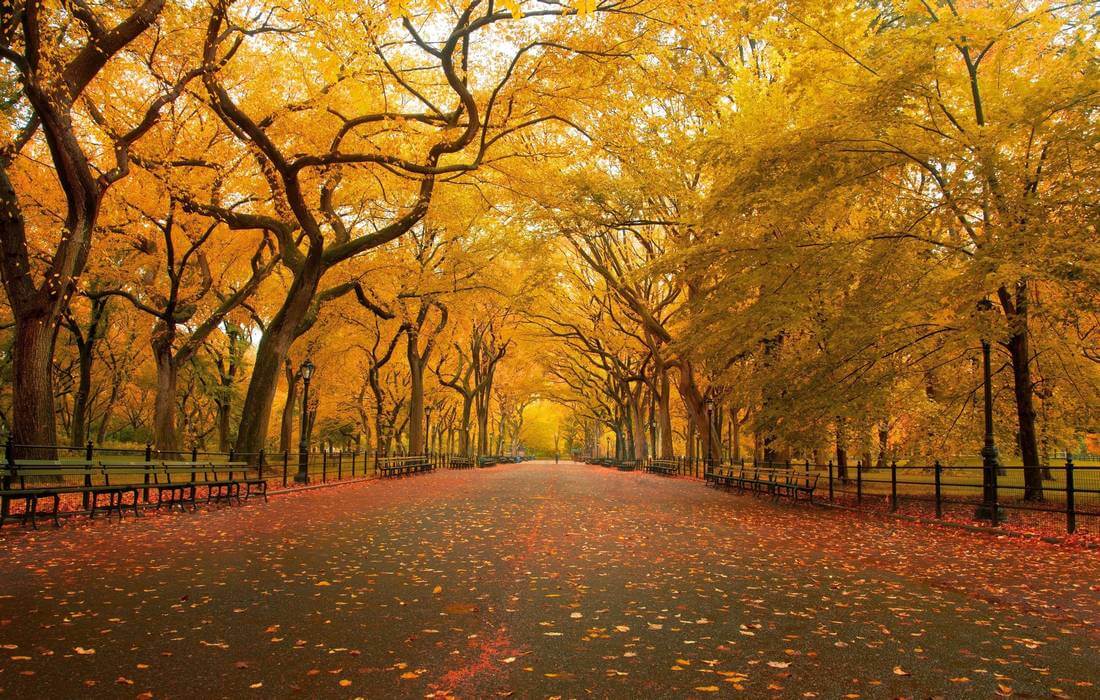 Централ Парк в Нью-Йорке осенью - фото - American Butler