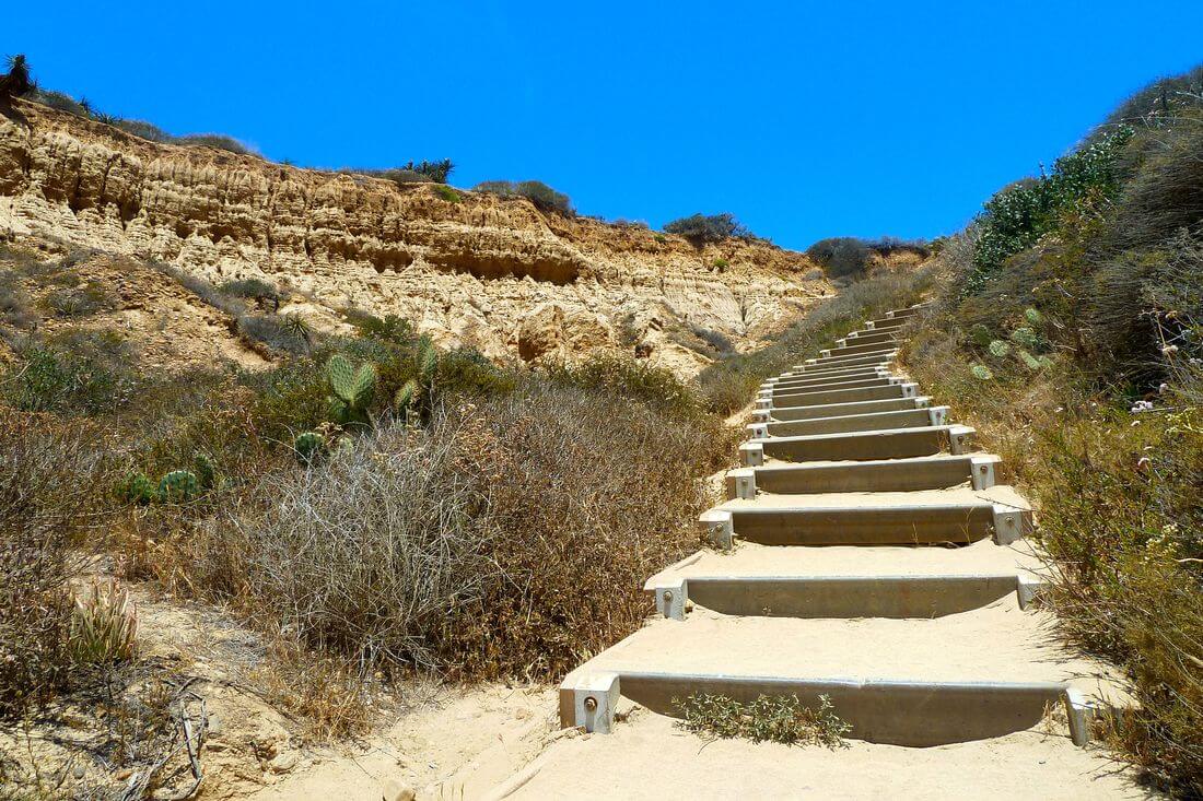 San Diego Nature Reserves & Parks – photo of Torrey Pines State Natural Reserve – American Butler