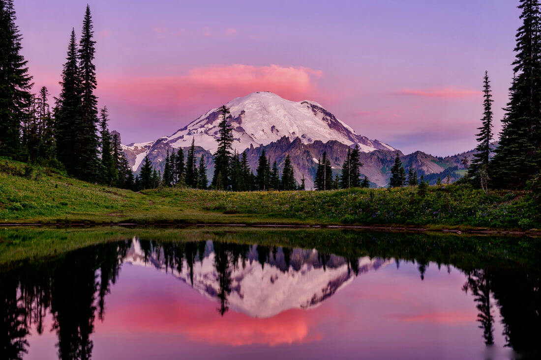 Mount Rainier National Park — American Butler