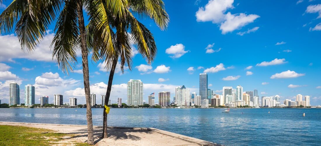 Miami Neighborhoods — Downtown Miami photo — American Butler