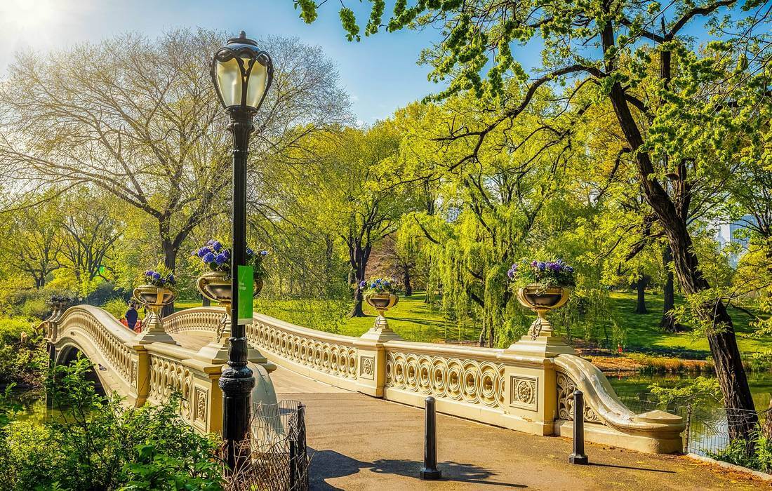 Пруд и мост в Центральном Парке Нью-Йорка — фото — American Butler