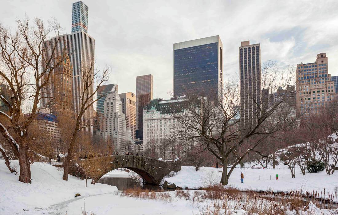 New York, Winter in Central Park - photo - American Butler