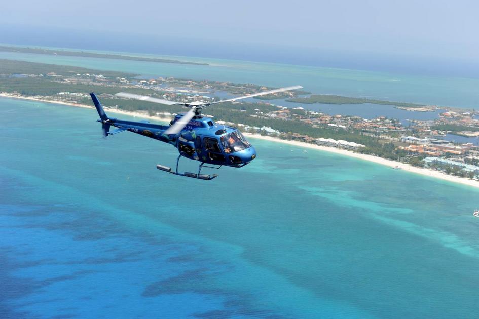 Swimming with dolphins in Florida: an exclusive helicopter tour to the islands
