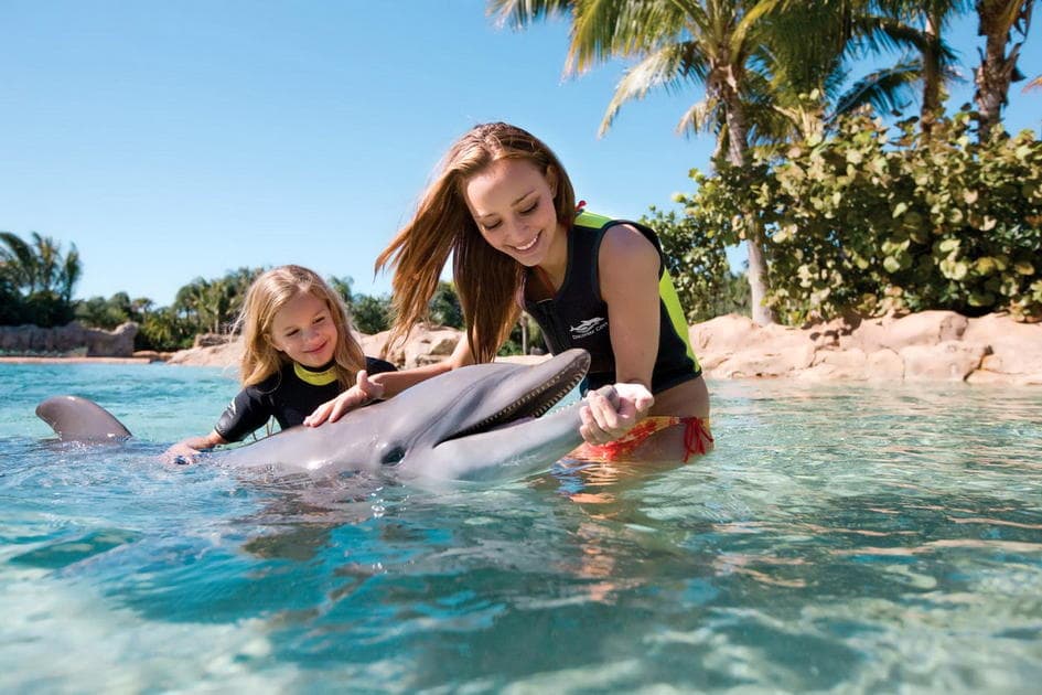 Купание с дельфинами во Флориде - фото сестёр, плавающих с дельфином на Ки-Ларго
