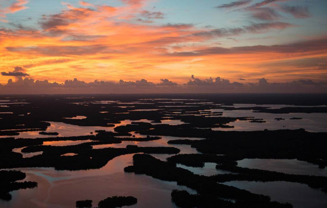Ten Thousand Islands in Florida Preserve - View from Above - American Butler