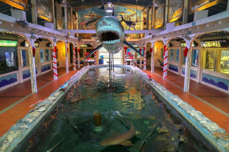 Аквариум в Ки-Уэсте - фото крытого помещения с бассейном