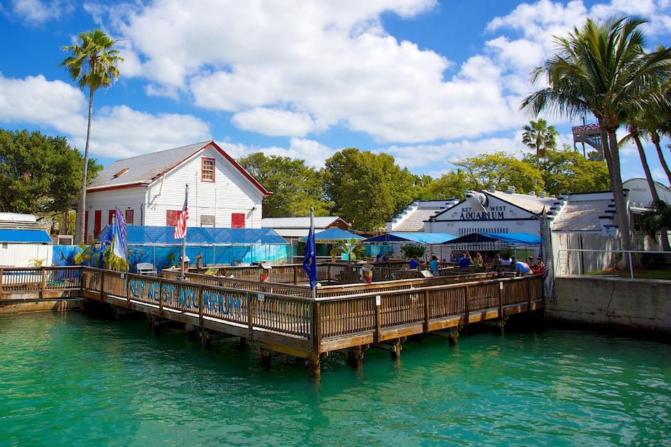 Key West Aquarium - один из самых старых аттракционов Флориды