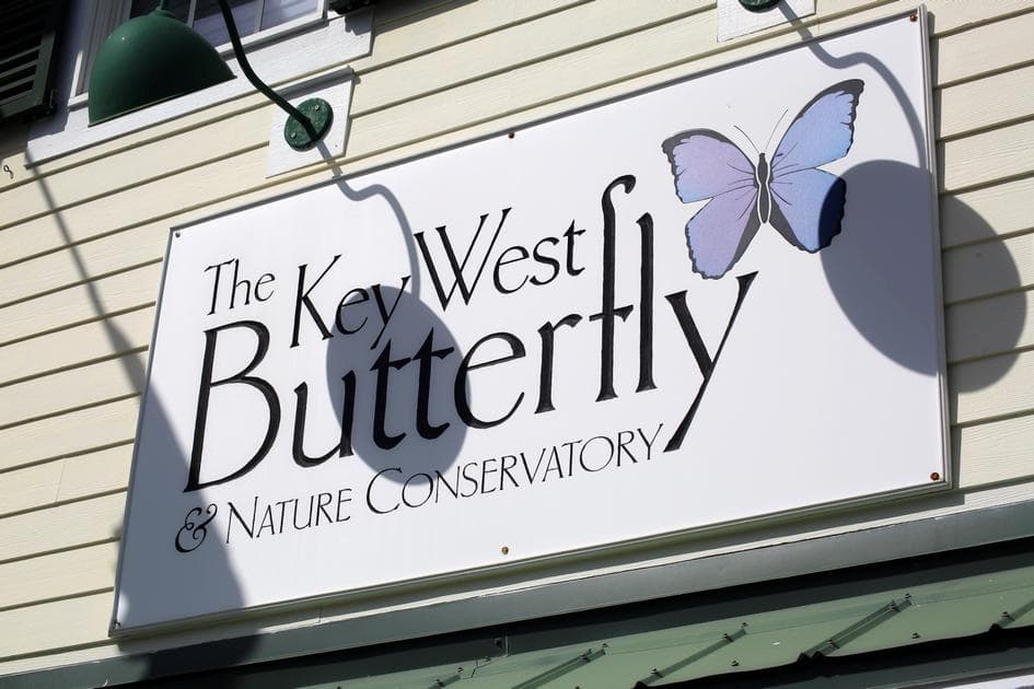 The Key West Butterfly & Nature Conservatory - фото главного входа здания оранжереи