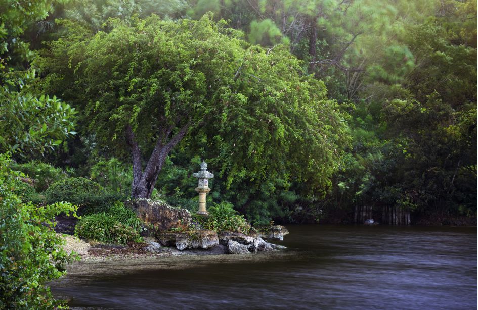 Фото Японский сад и музей Мориками во Флориде — American Butler