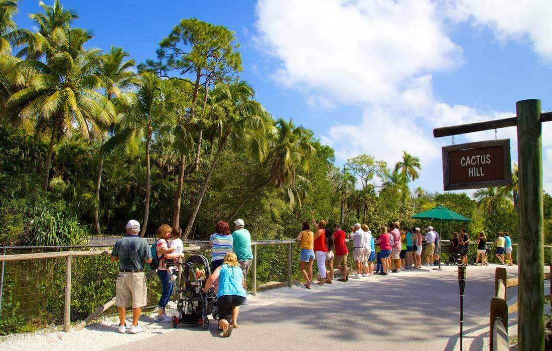 Photos of visitors and walking paths in the city's Naples Zoo - American Butler