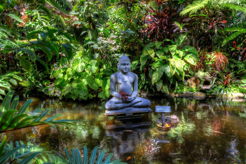 Сады Мэри Cелби во Флориде — фото статую Дхарма среди деревьев — American Butler