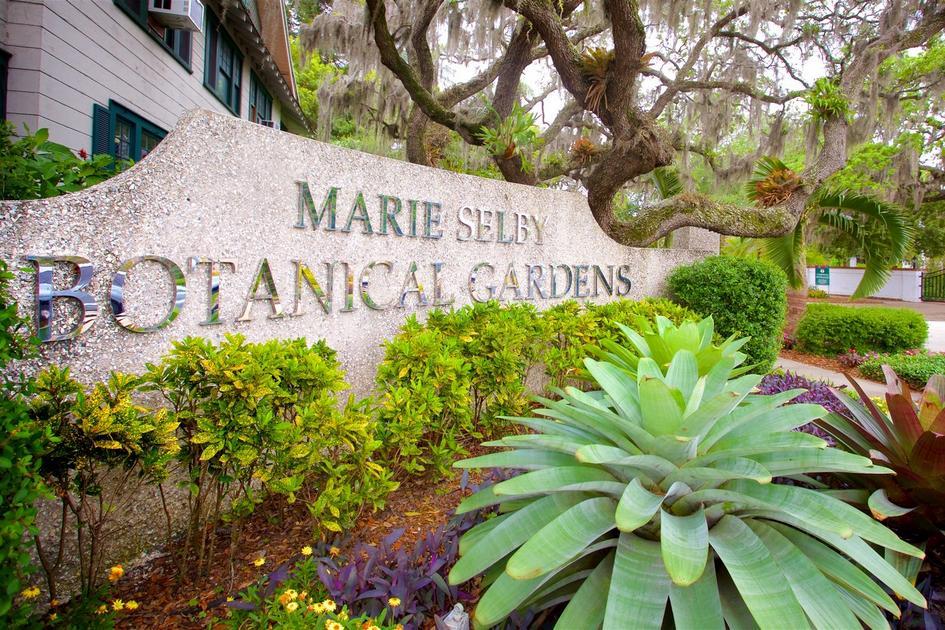 Marie Selby Botanical Garden in Sarasota — photo of the main entrance to the park — American Butler