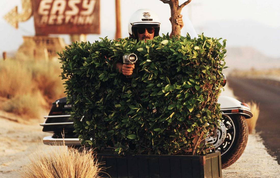 What are the fines and penalties for violation of traffic rules in the US — photo of a policeman in the bushes — American Butler