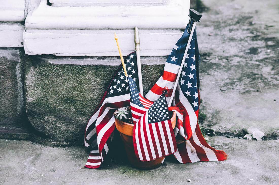 Фото американских флагов в горшке - как путешествовать в США: советы - Amer...