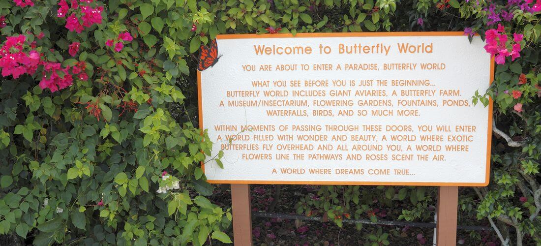 Butterfly World — Florida Zoo — American Butler