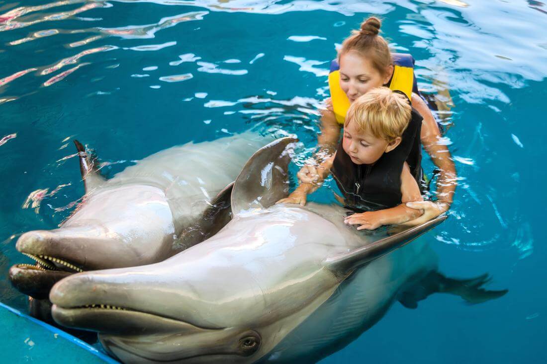 Поплавать с дельфинами в Майами — фото мальчика и дельфинов в воде — American Butler